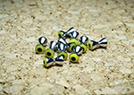 TFF Brass Pseudo Eyes