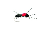 HiVis Black Foam Ant